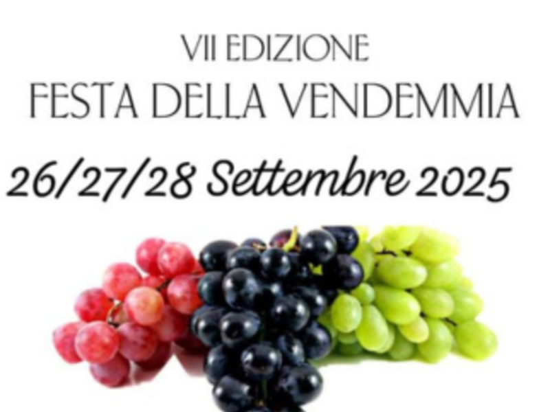 26-27-28 Settembre 2025 - VII Edizione Festa della Vendemmia
